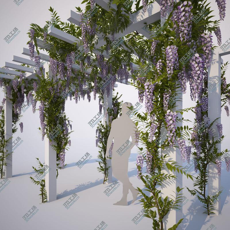 images/goods_img/202104023/Wisteria Collection 01/4.jpg